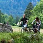 Hohneck 4 Etoiles, Vieux Bois Et Pierre, Spa, Sauna, Borne De Recharge Chalet