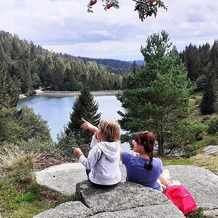 Σαλέ Hohneck 4 Etoiles, Vieux Bois Et Pierre, Spa, Sauna, Borne De Recharge Stosswihr