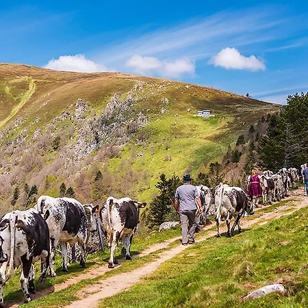 Σαλέ Hohneck 4 Etoiles, Vieux Bois Et Pierre, Spa, Sauna, Borne De Recharge *