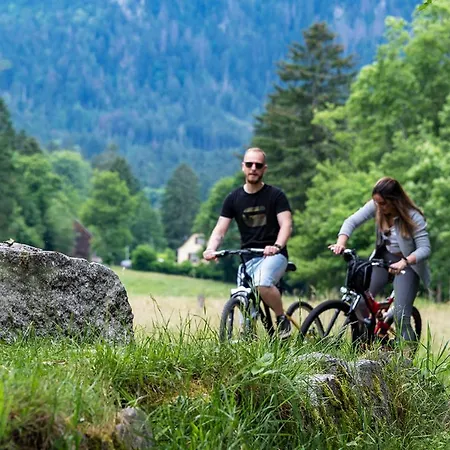 Hohneck 4 Etoiles, Vieux Bois Et Pierre, Spa, Sauna, Borne De Recharge Chalet
