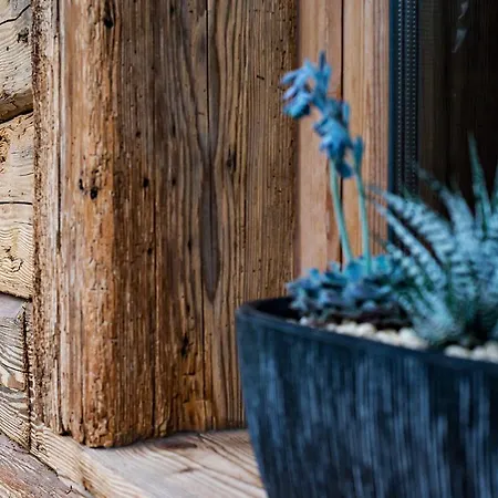 Hohneck 4 Etoiles, Vieux Bois Et Pierre, Spa, Sauna, Borne De Recharge * Stosswihr