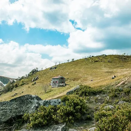 Hohneck 4 Etoiles, Vieux Bois Et Pierre, Spa, Sauna, Borne De Recharge Chalet *