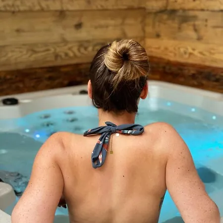 Hohneck 4 étoiles, Vieux Bois Et Pierre, Spa, Sauna, Borne De Recharge Stosswihr